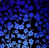 90 Pre Made Etched Pattern #127 Cherry Blossoms, Crinkle Purple CBS (Red Violet) Dichroic on Thin Black Glass