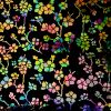 90 Pre Made Etched Pattern #127 Cherry Blossoms, Reptilian Dichroic on Thin Black Glass