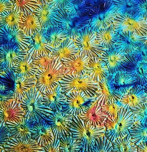 90 Fusion Rainbow 2 CBS Dichroic on Florentine Thin Glass