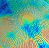 90 Sand Carved Pattern #044 Large Mandela, Aurora Borealis Salmon Dichroic on Violet Striker Glass