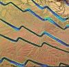 90 Sand Carved Pattern #194 Tripin' Sunflowers, Voltage Salmon CBS Dichroic on Amber Glass