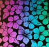 96 Pre Made Etched Pattern #159 Plumeria, RB2 Dichroic on Thin Black Glass