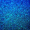 96 Pink Teal Dichroic on Dew Drop Thin Glass
