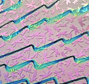 96 Sand Carved Pattern #089 Dragonflies, Voltage G-Pink Dichroic on Dk Red Glass