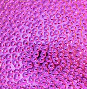90 Green Magenta CBS Dichroic on Hammered Thin Glass