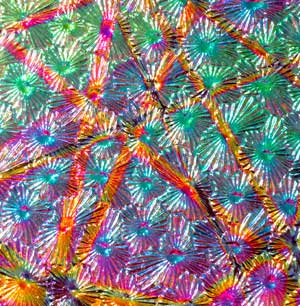 90 Pixie Stix Rainbow 2  Dichroic on Florentine Thin Glass