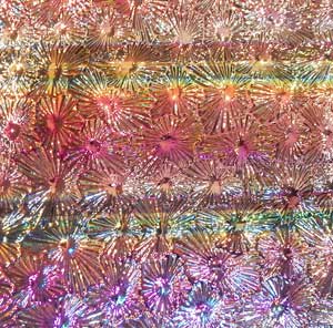 96 Tropical Rays 1.5 (RBB MIX)  Dichroic on Clear Florentine Thin Glass